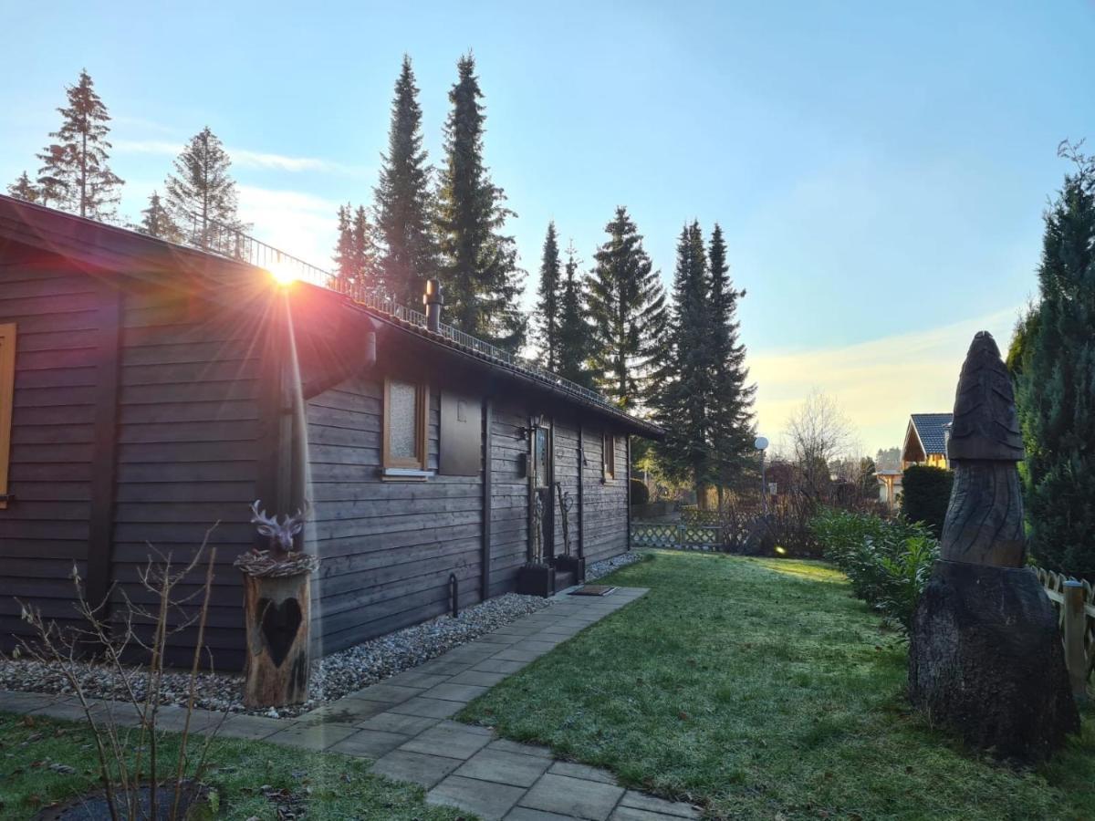 Huettenflair Am See Mit Kamin Клаустал-Целерфелд Екстериор снимка