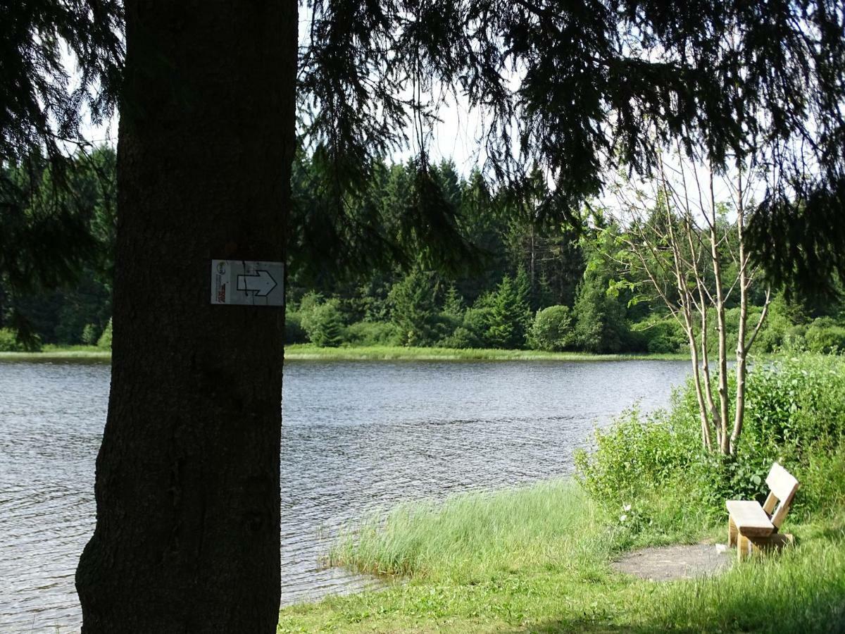 Huettenflair Am See Mit Kamin Клаустал-Целерфелд Екстериор снимка