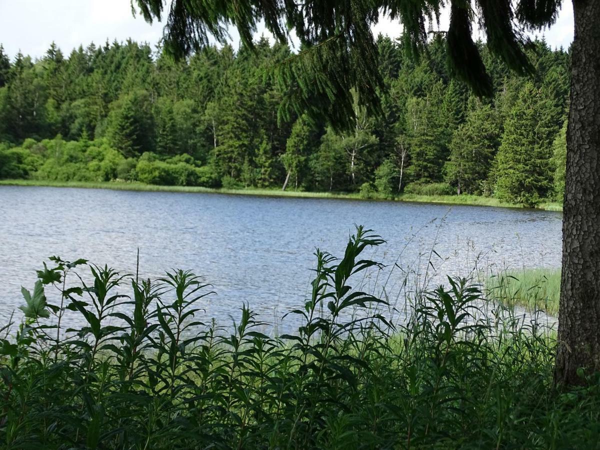 Huettenflair Am See Mit Kamin Клаустал-Целерфелд Екстериор снимка