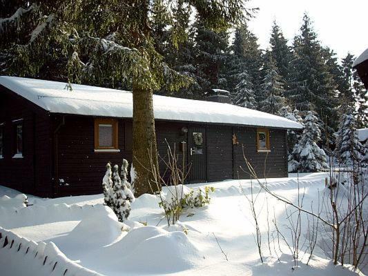 Huettenflair Am See Mit Kamin Клаустал-Целерфелд Екстериор снимка