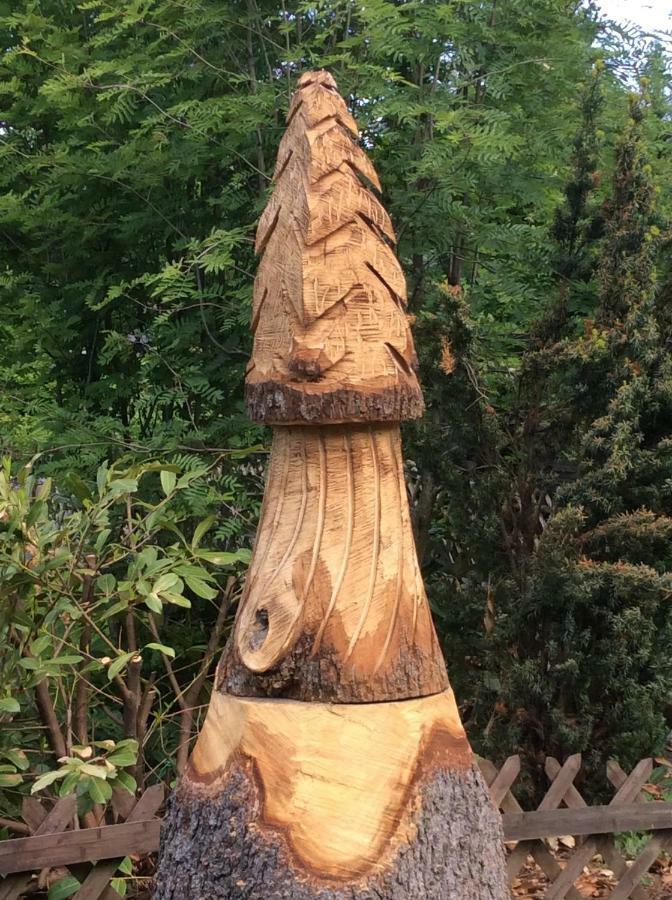 Huettenflair Am See Mit Kamin Клаустал-Целерфелд Екстериор снимка